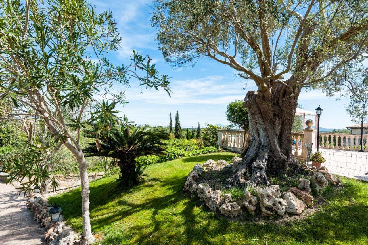 Villa Santa Margalida Exterior photo